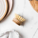 Ever Eco - Dish Brush Replacement Head - Sisal Bristles