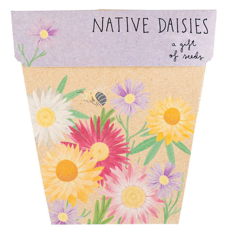 Sow 'n Sow - A Gift Of Seeds - Native Daisies