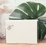 Wellness + Beauty Box - Summer Edition